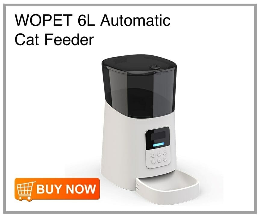 5 Best Automatic Pet Feeders in the Philippines – Top 10 Philippines