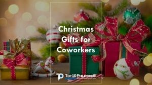 What are some inexpensive gifts for workmates this Christmas?