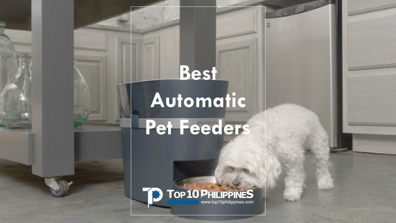 5 Best Automatic Pet Feeders in the Philippines