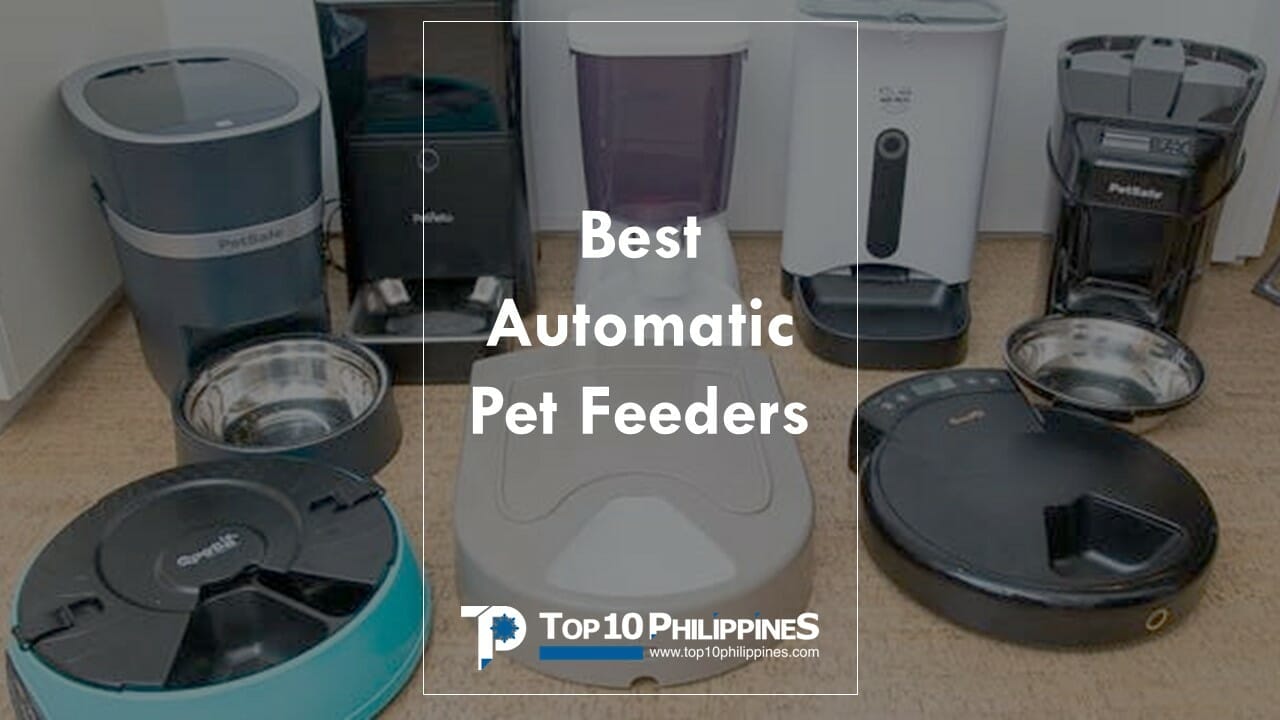 The best automatic cat and dog feeders you can buy right now in the Philippines