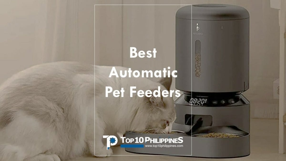 Are automatic dog and cat feeders worth it?