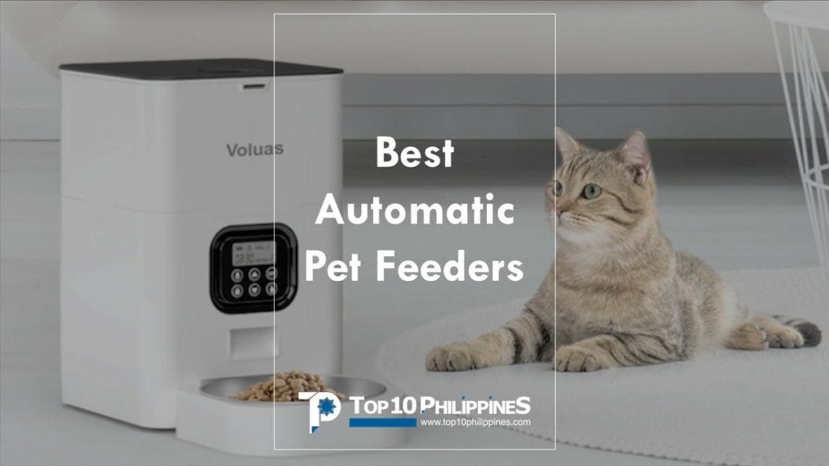 Which dog feeder is best in the Philippines?