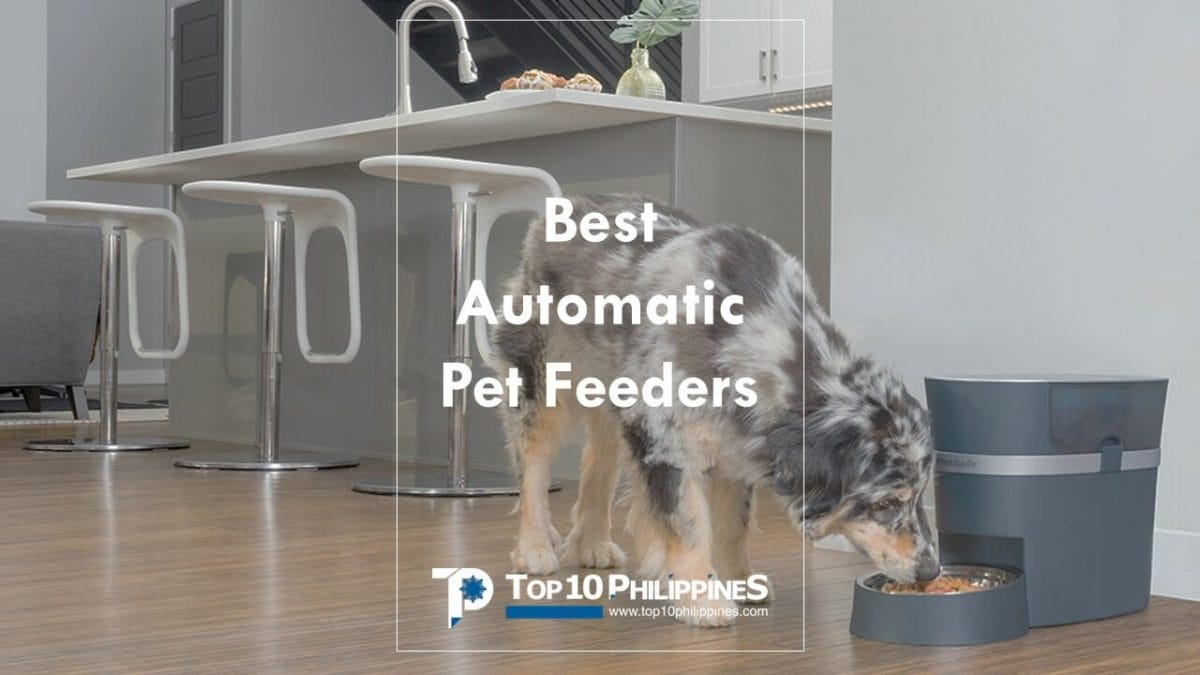 How long do automatic dog feeders last?