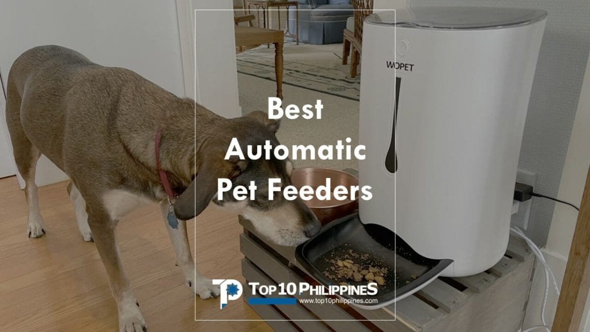 Can you put wet food in an automatic cat and dog feeder?