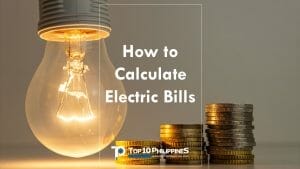 Estimating Appliance and Home Electronic Energy Use