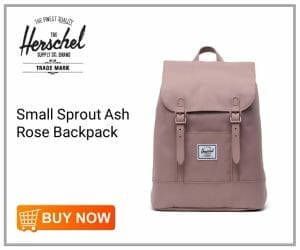 Herschel Retreat Small Sprout Ash Rose Backpack